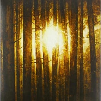 In Mourning - Echoes Vinyl