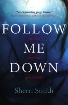Follow Me down by Sherri Smith Book