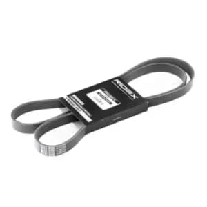 RIDEX V-ribbed belt VW,AUDI,BMW 305P0081 11288507415,11288512067,11288519128 8507415,4573234,5750F0,5750J8,5750RH,5750VY,5750ZH,96155949,96155951