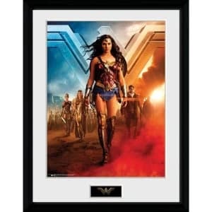 Wonder Woman Group Collector Print