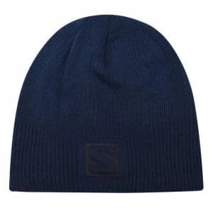 Salomon Logo Hat Mens - Poseidon