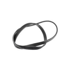 DAYCO V-ribbed belt 4PK903EE Serpentine belt,Auxiliary belt FIAT,IVECO,MAN,Ducato Kastenwagen (250_, 290_),Ducato Bus (250_, 290_)