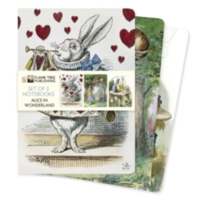 Alice in Wonderland Set of 3 Standard Notebooks Notebook / blank book