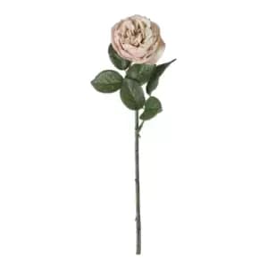 Gallery Interiors Aldona Rose Stem Light Pink / Large Set of 6