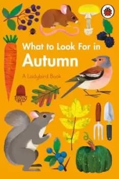 What to look for in autumn by Elizabeth Jenner