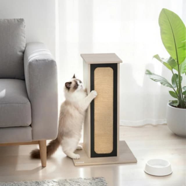 Pawhut 63Cm Cat Scratching Post, Scratcher W/ Replaceable Scratching Board