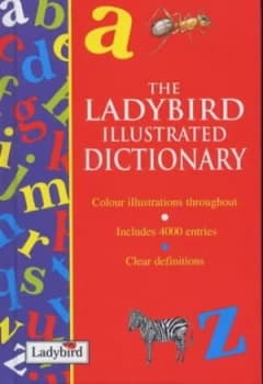 The Ladybird Illustrated Dictionary by Peter Massey and Chris Orr and Associates Hardback