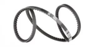 GATES V Belt RENAULT,DACIA,VW 6227MC 13H7104,5414629N,6000583845 Fenner Belt 5414629,1502949,1629875,5029455,6107729,6132588,6154540,70TN6620AA,800722
