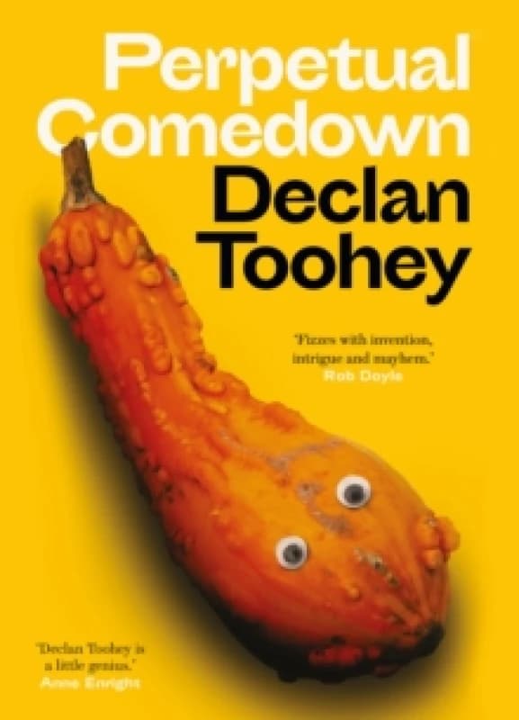 Perpetual Comedown Paperback / softback