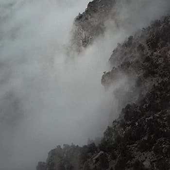 Like Rats - Ii Vinyl