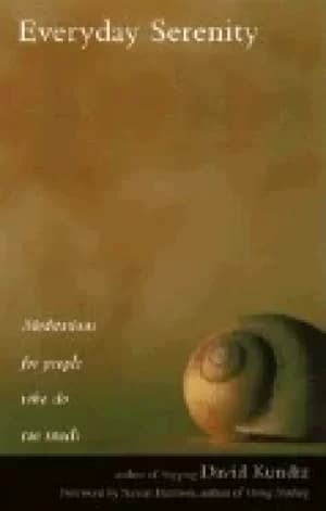 everyday serenity meditations for people who do too much