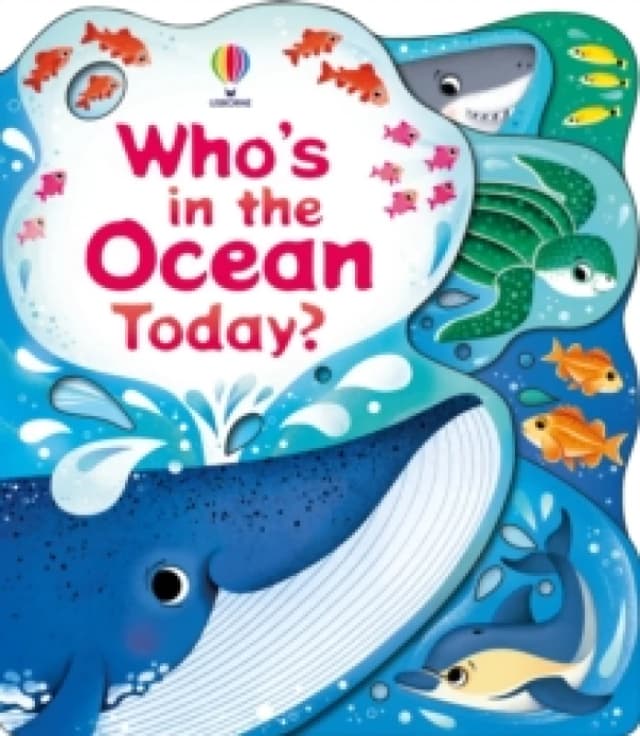 Who's in the Ocean Today? Board book