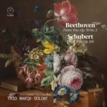 Beethoven: Piano Trio, Op. 70, No. 2/...