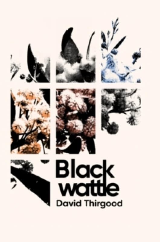 Blackwattle. Paperback. By David Thirgood Books