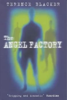 The Angel Factory by Terence Blacker Paperback