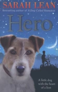 Hero by Sarah Lean Paperback