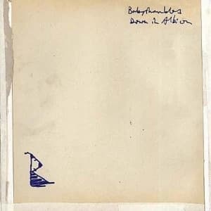 Babyshambles - Down In Albion Vinyl