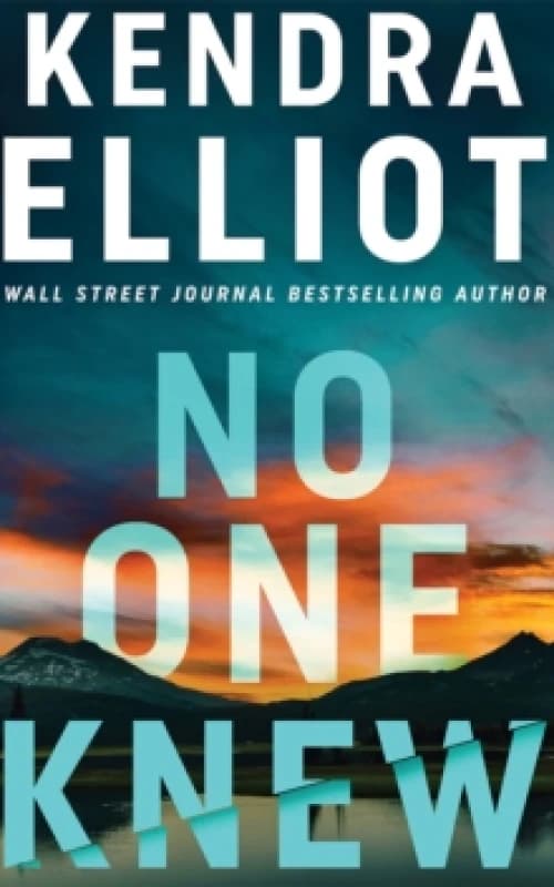No One Knew Hardback
