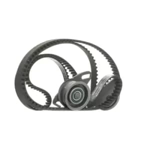 ASHIKA Timing belt kit HYUNDAI,KIA,MITSUBISHI KCTM02 1351487205,2335742020,2335742030 2431542011,2431542101,2431742000,2431742010,2431742020,1145A081