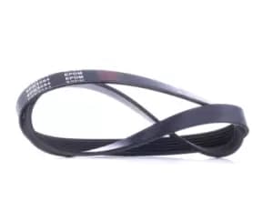 RIDEX V-ribbed belt VW,AUDI,BMW 305P0198 036145933F,11287835483,036145933F 036145933F,036145933F
