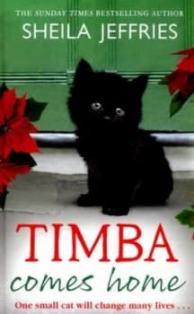 Timba Comes Home by Sheila Jeffries Hardback