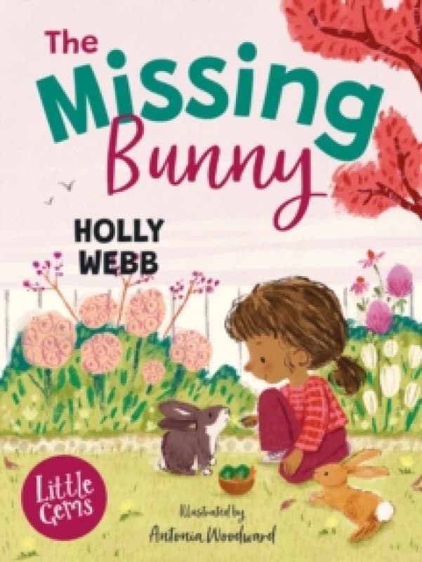 The Missing Bunny Paperback / softback