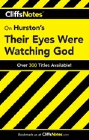on hurstons their eyes were watching god