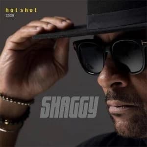 Hot Shot 2020 by Shaggy CD Album