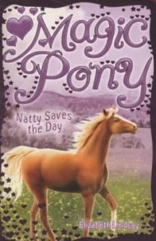 Natty Saves the Day by Elizabeth Lindsay Paperback