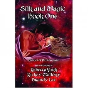 Silk and Magic Book One by Rebecca York Paperback