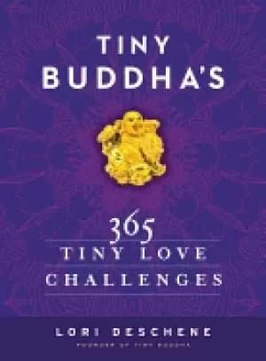 tiny buddhas 365 tiny love challenges