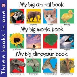 My Big Animal Book Hardback