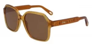 Chloe Sunglasses CE 761S 204