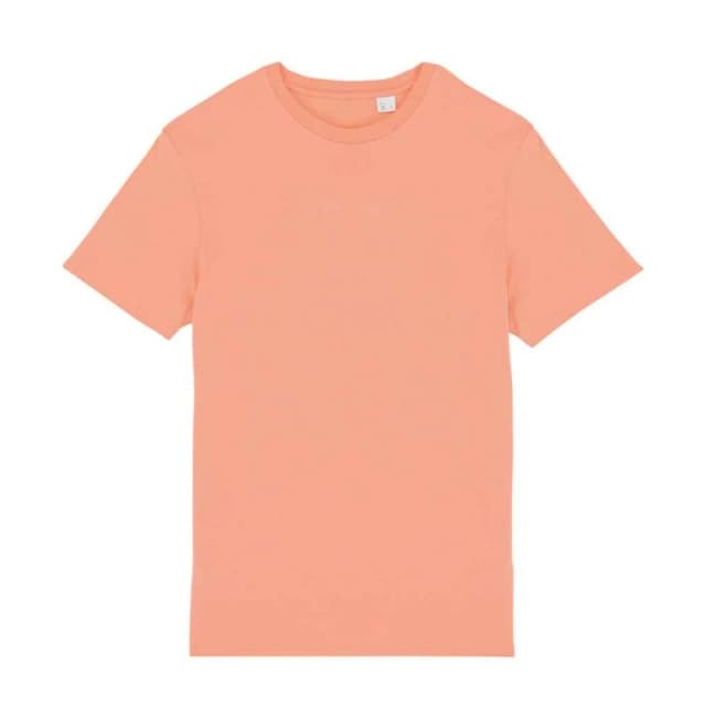 Native Spirit Mens T-Shirt in Burnt Orange Size: XS Burnt Orange Male XS