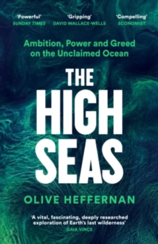 The High Seas : Ambition, Power and Greed on the Unclaimed Ocean Paperback / softback