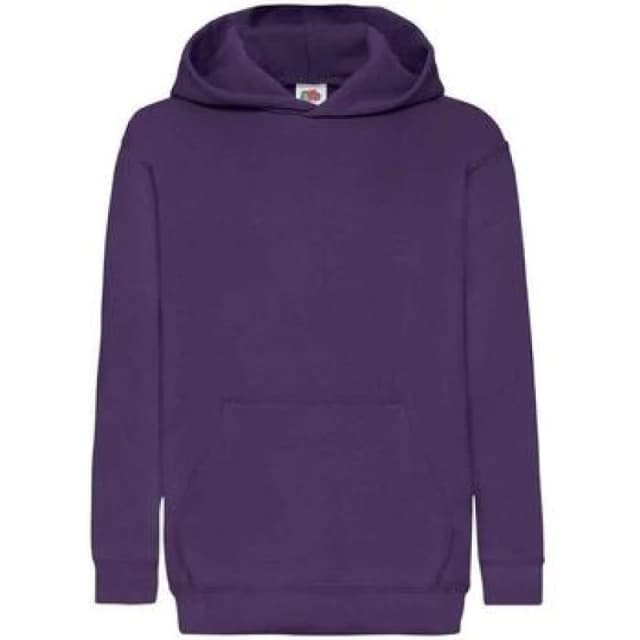 Fruit Of The Loom Classic boys's Children's sweater in Purple