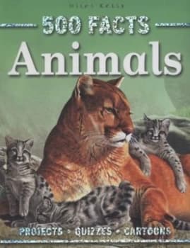 Animals by Rosie Mcguire Paperback
