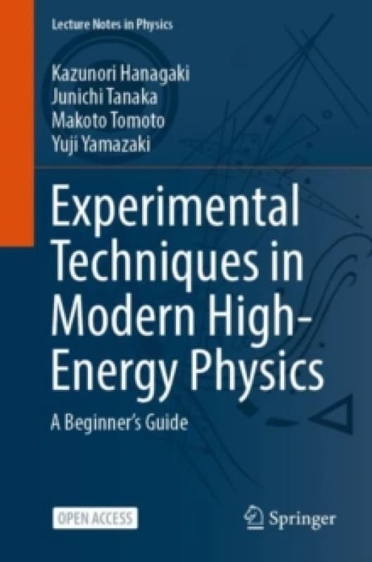 Experimental Techniques in Modern High-Energy Physics : A Beginners Guide Paperback / softback