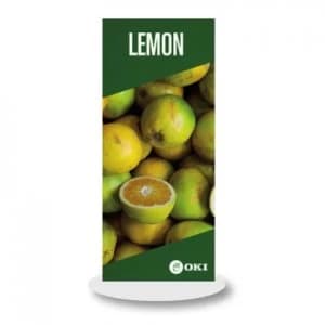 OKI FASTDISPLAY White Metal