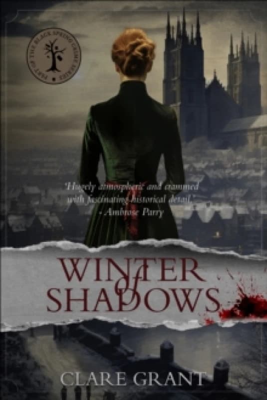 Winter of Shadows Hardback