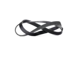 RIDEX V-ribbed belt AUDI,RENAULT,TOYOTA 305P0212 079903137T,07L903137E,2521239800 4451A104,MD199223,MN155728,1172000QAN,11720BN700,8200020924