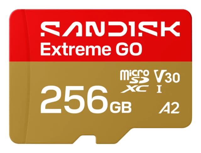 SanDisk Extreme GO 256GB MicroSDXC UHS-I
