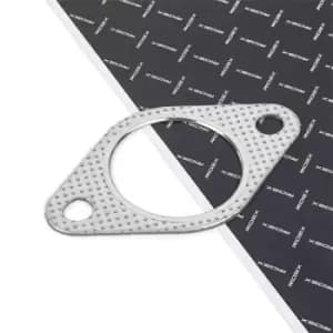 RIDEX Exhaust Manifold Gasket Front 27G0134 Exhaust Header Gasket,Exhaust Collector Gasket VW,AUDI,OPEL,Golf IV Schragheck (1J1),Golf IV Variant (1J5)