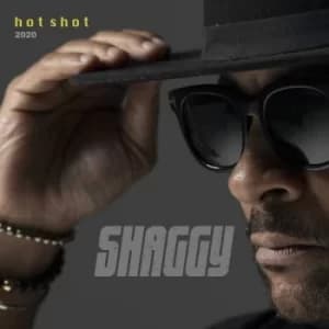 Shaggy ‎- Hot Shot 2020 Vinyl