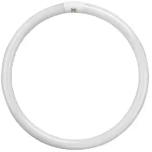 Crompton Lamps Fluorescent T9 Circular 40W 4-Pin Cool White FC40W/840