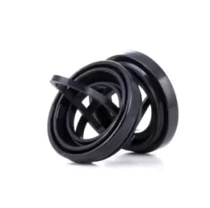 RIDEX Brake Caliper Repair Kit 405R0098 Caliper Repair Kit,Brake Caliper Rebuild Kit VW,AUDI,SKODA,Golf IV Schragheck (1J1),Golf V Schragheck (1K1)