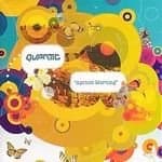 Quantic - Apricot Morning (Music CD)