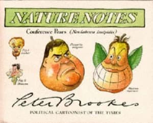 Nature Notes by Peter Brookes Hardback