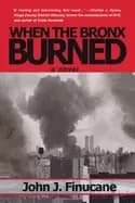 when the bronx burned new yorks best kept secret