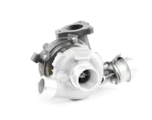 RIDEX Turbocharger 2234C0024 Turbolader,Charger, charging system HYUNDAI,KIA,i30 (FD),GETZ (TB),i30 CW (FD),ACCENT III Stufenheck (MC),ACCENT III (MC)